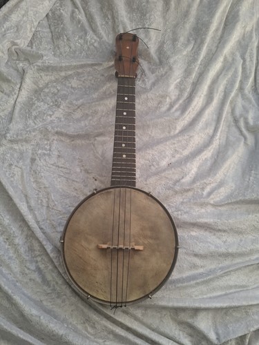 Vintage 1920s dulcetta banjo - 1920s, 'dulcetta'