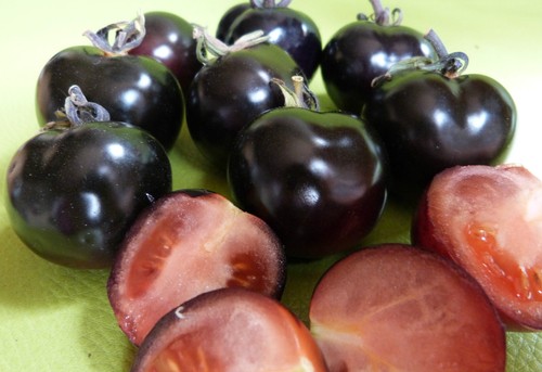 Tomato seeds original - tomato,