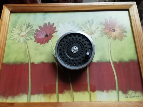 Hardy marquis salmon 2 - hardy,