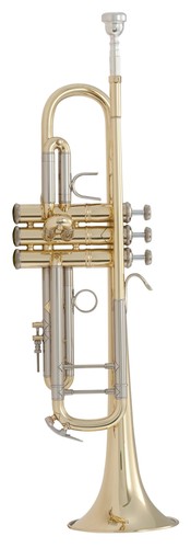 Bach 18037 stradivarius - bach,
