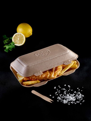 Tt10 brown takeaway - tt10, food