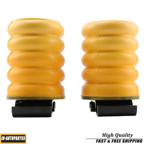 Two rear air - helper, springs