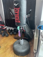 Everlast Omniflex Punch Bag