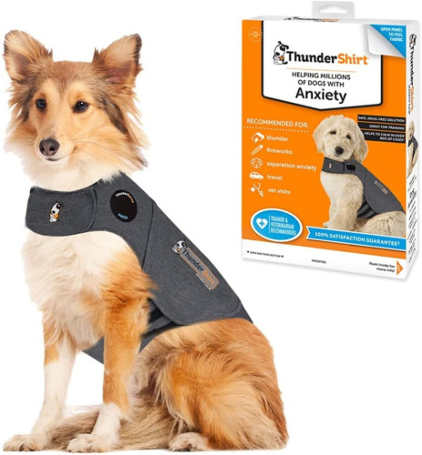Thunder shirt dog - shirt, calming