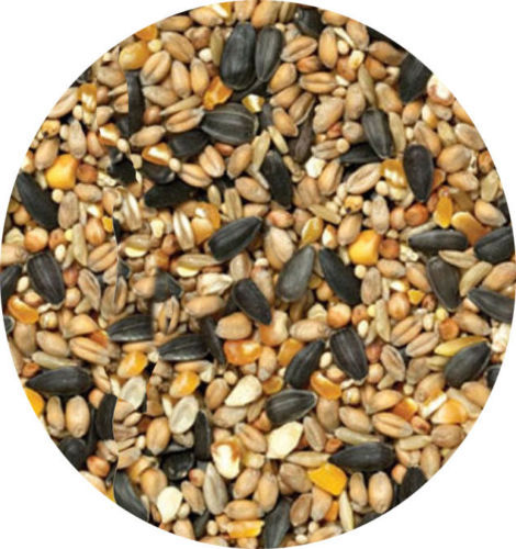 Garden bird seed 10kg - seed, 5kg