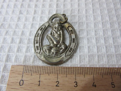 Lucky pixie charm horseshoe - lucky,