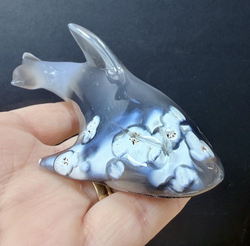 Natural orca agate shark - orca,
