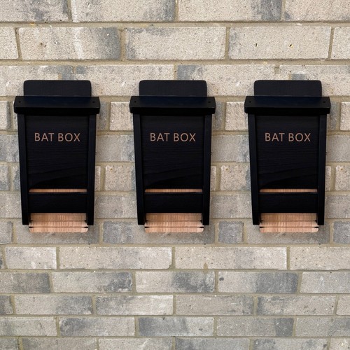 Black wooden bat - box, for