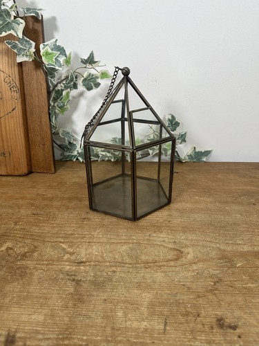 Glass hexagon terrarium - hexagon,