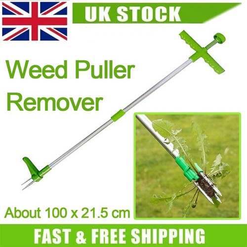 Lawn weed puller - lawn,