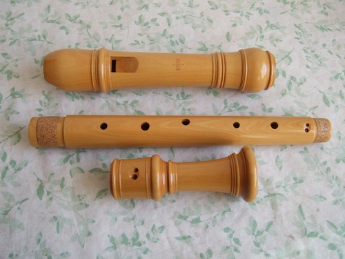 Moeck rottenburgh 249 tenor - moeck,