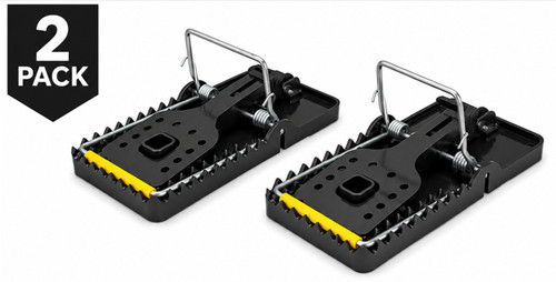 Rat traps that - xl,