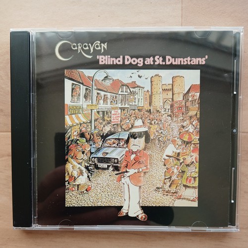 Blind dog dunstans - blind,