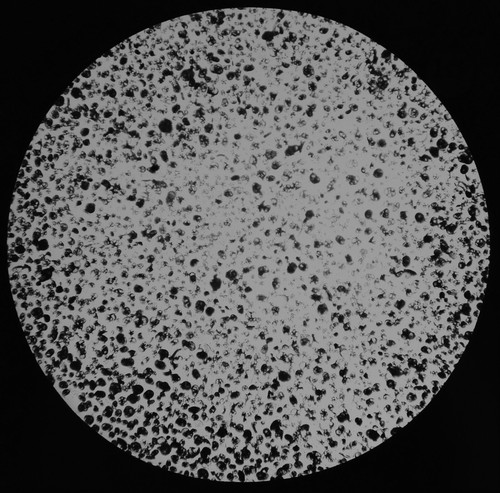 Foraminifera 2900 fathoms - foraminifera,