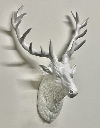 Large stag head deer - head,