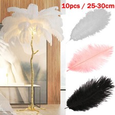 10-100×Ostrich Feathers For