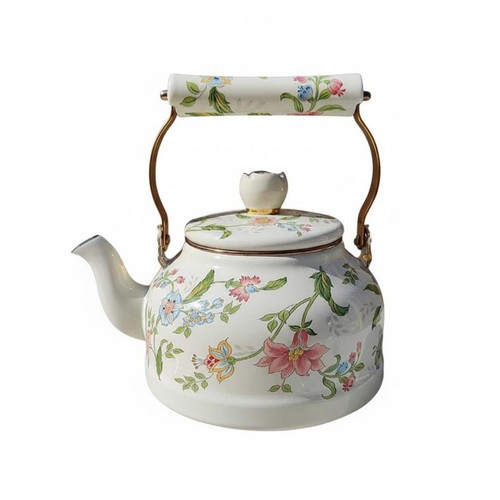 Enamel water kettle induction - water,