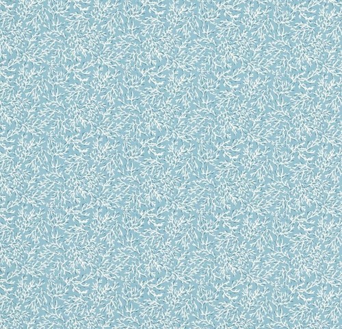Seabed marine coral - marine,