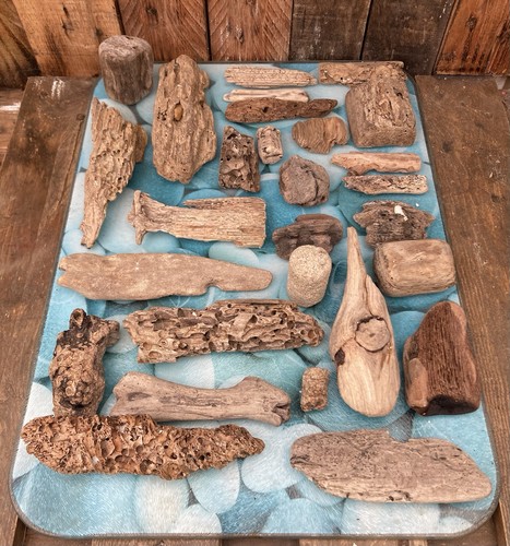 Unique driftwood pieces - unique,
