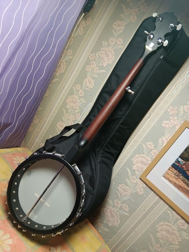 Ozark banjo string - banjo, custom
