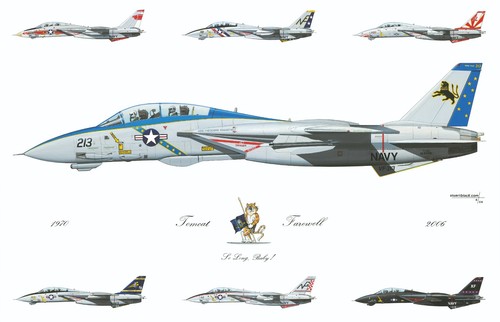 Tomcat farewell long - farewell,