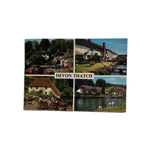 Devon thatch multi view john - thatch., view.