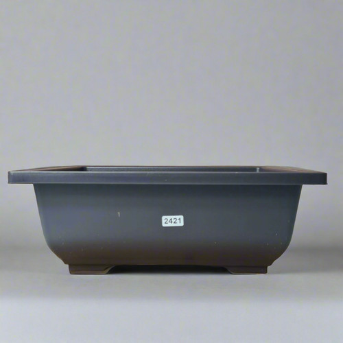 Plastic bonsai training pot - training, |