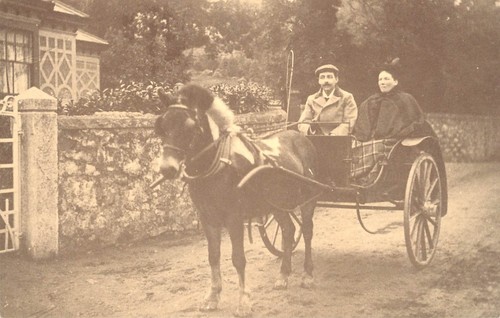 Pony trap c1910 tandem - c1910,