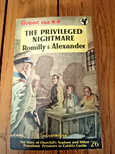 The privileged nightmare - the,