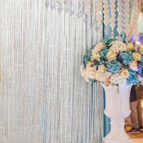 String curtain panels door fly - panels,