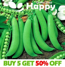 VEGETABLE SEEDS PEA DWARF -