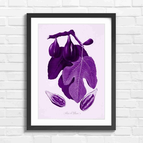 Botanical vintage fig branch - vintage,