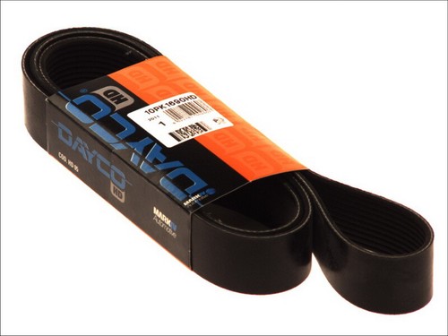 Dayco day10pk1690hd ribbed - dayco, v-ribbed