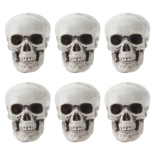Pcs plastic skull heads - skull,