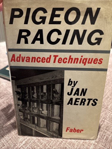 Pigeon racing advanced - pigeon,