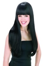 Brand New 60s Cher Got You Babe Costume Wig