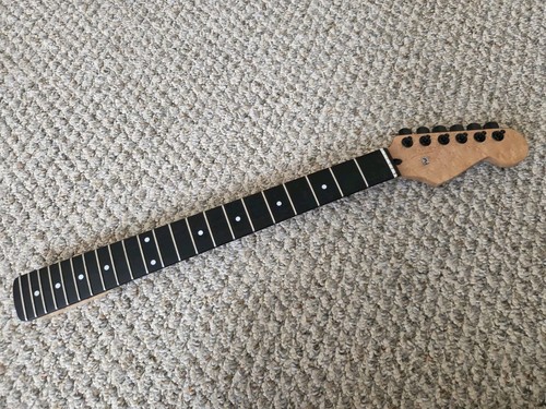 Mighty mite birdseye maple - mite,