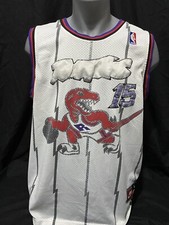 Toronto Raptors Basketball