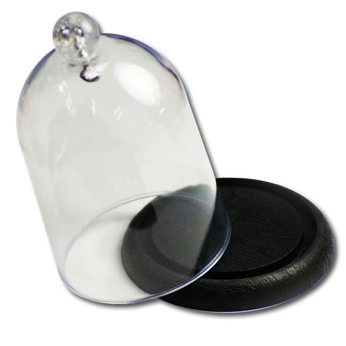 Pocket watch display dome