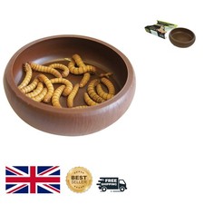 Reptile Mealworm Dish with