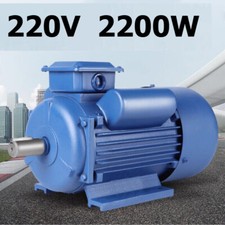 2200W 220V Electric Single