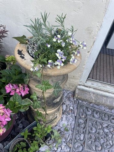Victorian chimney pot - a,