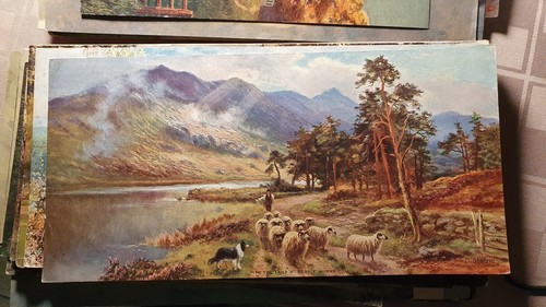 Vintage numbered print daniel - vintage,