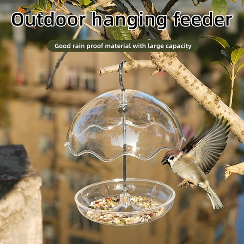 Hanging see through squirrel - hanging,
