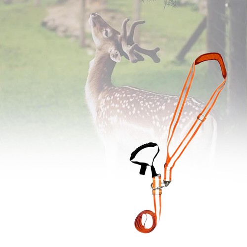 Deer drag harness - harness, adjustable