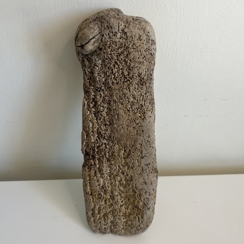 Unique driftwood piece - unique,