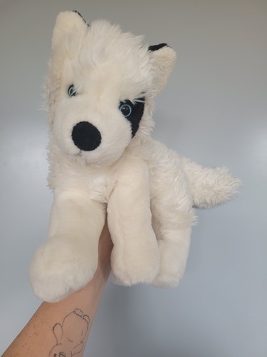 Dowman lumi husky dog - husky,