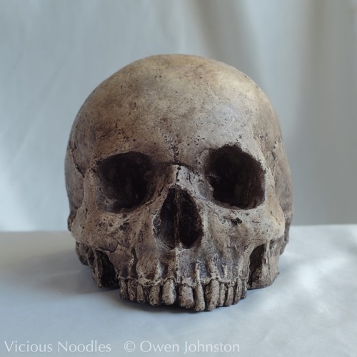 Human skull replica handmade - human, replica,