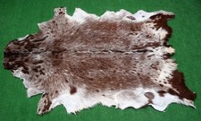 New Goat hide Rug Hair on Area Rug Size 36"x26" Animal Leather Goat Skin 157
