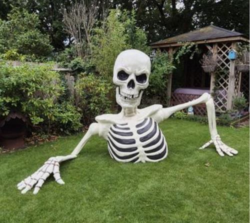Large halloween skeleton - large,